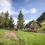 Naturpark Schladming-dachstein Ferienhaus Grosssolk