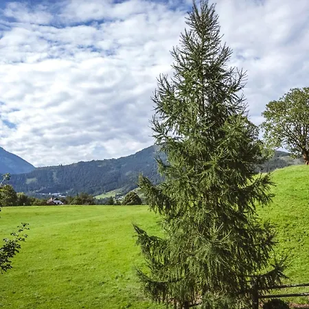 Naturpark Schladming-dachstein Prázdninový dům Grosssolk