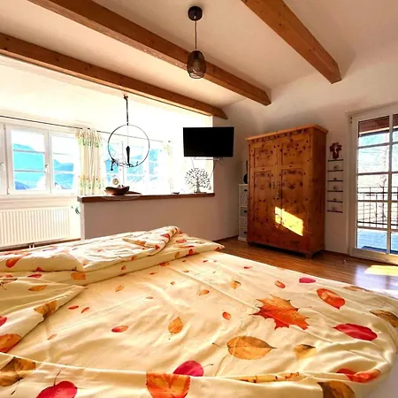 Naturpark Schladming-dachstein 度假居