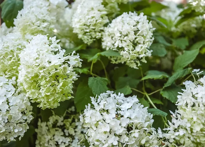 Naturpark Schladming-dachstein Grosssolk