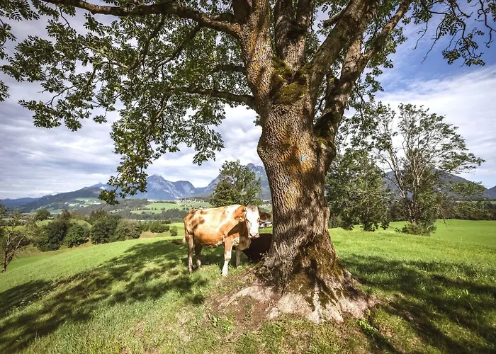 Naturpark Schladming-dachstein بيت للعطل *